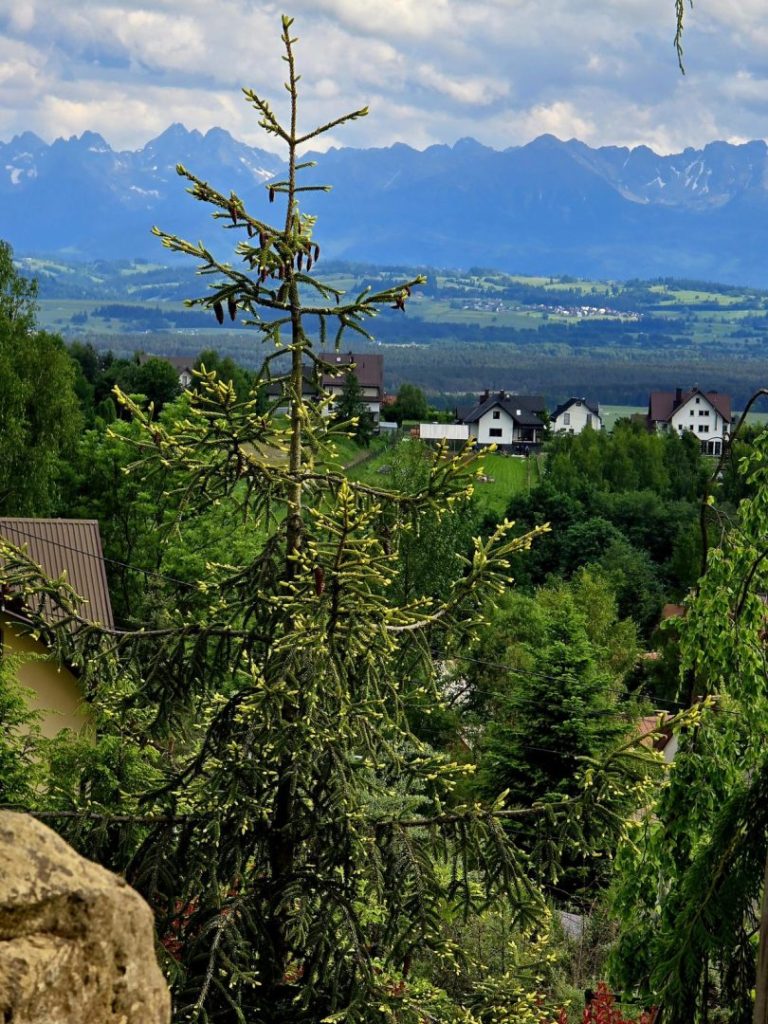 Kamień, zieleń i panorama – ogród w górskim krajobrazie