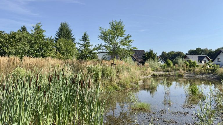 Ogród deszczowy przy przedszkolu